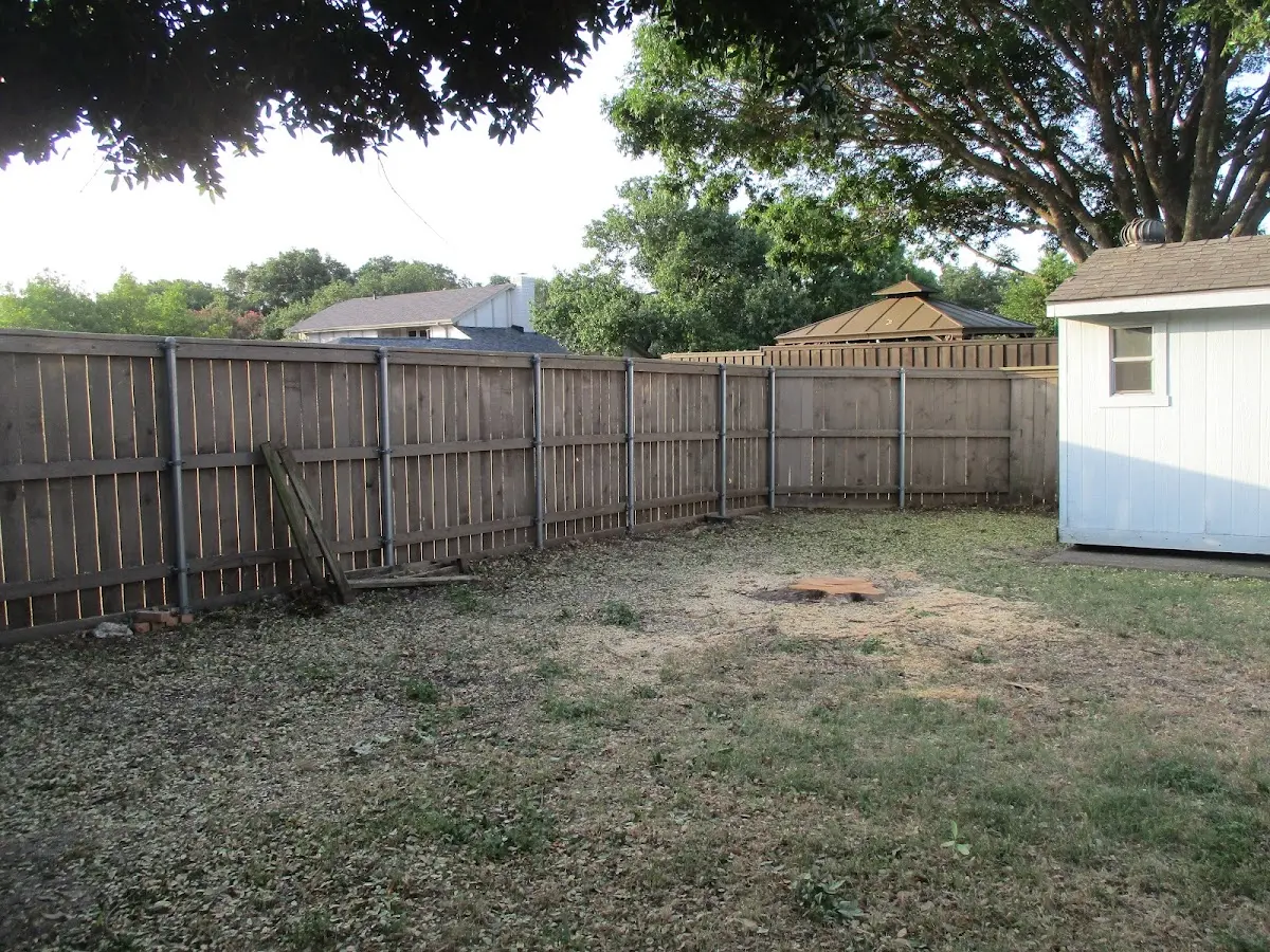 Cleared yard after professional tree removal in Waterville Valley
